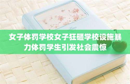 女子体罚学校女子狂砸学校设施暴力体罚学生引发社会震惊