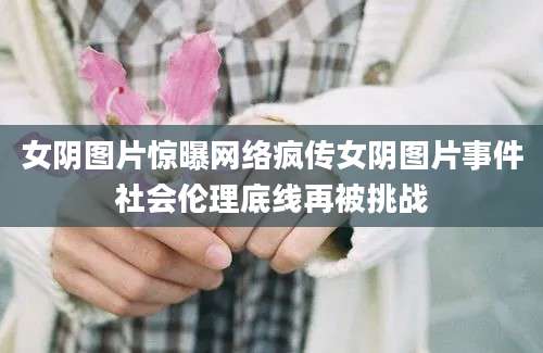 女阴图片惊曝网络疯传女阴图片事件社会伦理底线再被挑战
