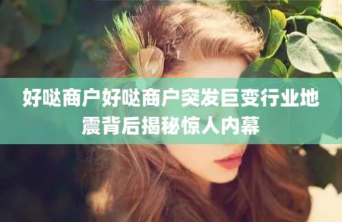 好哒商户好哒商户突发巨变行业地震背后揭秘惊人内幕