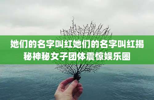 她们的名字叫红她们的名字叫红揭秘神秘女子团体震惊娱乐圈