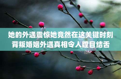 她的外遇震惊她竟然在这关键时刻背叛婚姻外遇真相令人瞠目结舌
