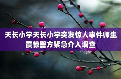 天长小学天长小学突发惊人事件师生震惊警方紧急介入调查