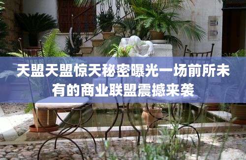 天盟天盟惊天秘密曝光一场前所未有的商业联盟震撼来袭