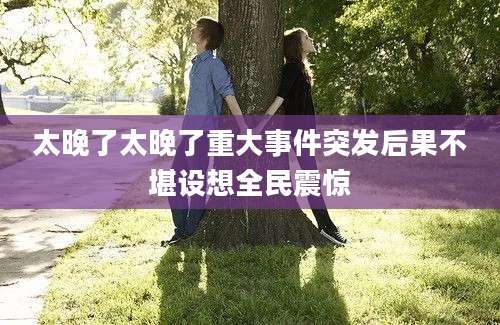 太晚了太晚了重大事件突发后果不堪设想全民震惊