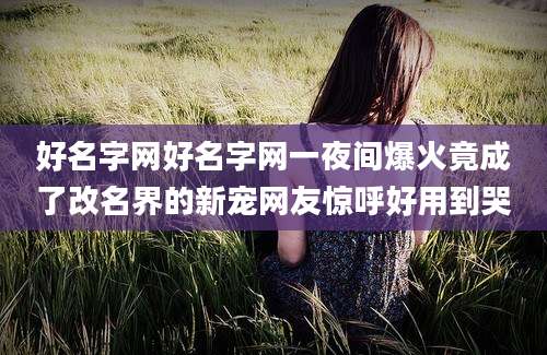 好名字网好名字网一夜间爆火竟成了改名界的新宠网友惊呼好用到哭
