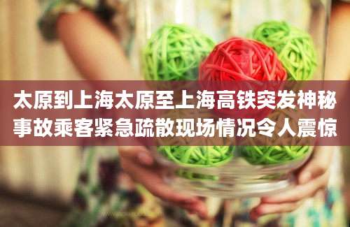太原到上海太原至上海高铁突发神秘事故乘客紧急疏散现场情况令人震惊