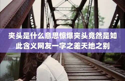 夹头是什么意思惊爆夹头竟然是如此含义网友一字之差天地之别