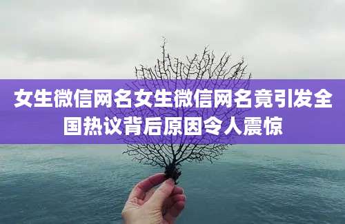 女生微信网名女生微信网名竟引发全国热议背后原因令人震惊