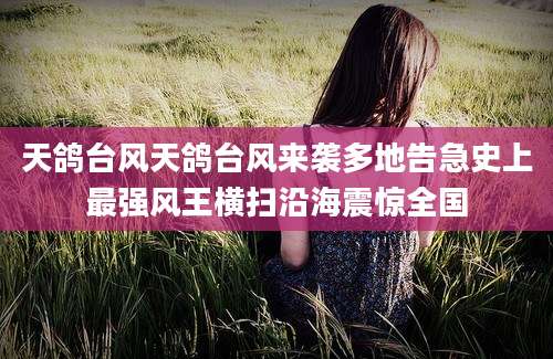 天鸽台风天鸽台风来袭多地告急史上最强风王横扫沿海震惊全国