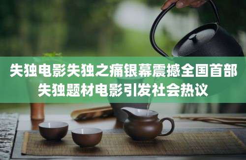 失独电影失独之痛银幕震撼全国首部失独题材电影引发社会热议