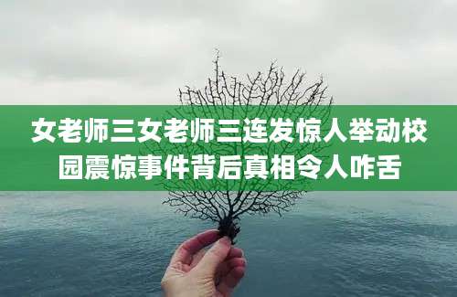 女老师三女老师三连发惊人举动校园震惊事件背后真相令人咋舌