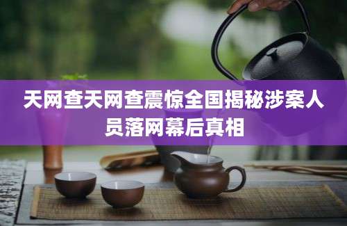 天网查天网查震惊全国揭秘涉案人员落网幕后真相
