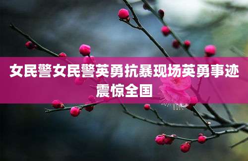 女民警女民警英勇抗暴现场英勇事迹震惊全国