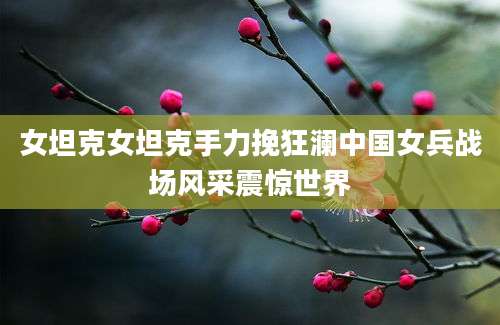 女坦克女坦克手力挽狂澜中国女兵战场风采震惊世界