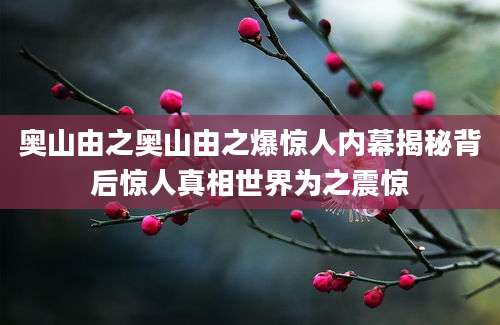 奥山由之奥山由之爆惊人内幕揭秘背后惊人真相世界为之震惊