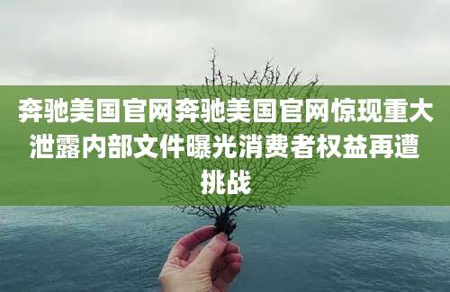 奔驰美国官网奔驰美国官网惊现重大泄露内部文件曝光消费者权益再遭挑战