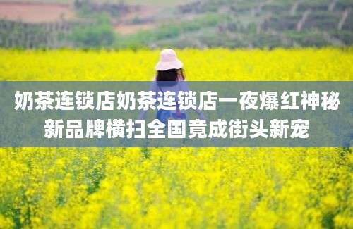 奶茶连锁店奶茶连锁店一夜爆红神秘新品牌横扫全国竟成街头新宠
