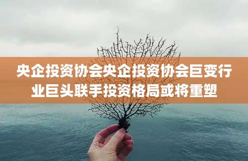 央企投资协会央企投资协会巨变行业巨头联手投资格局或将重塑