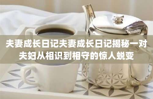 夫妻成长日记夫妻成长日记揭秘一对夫妇从相识到相守的惊人蜕变