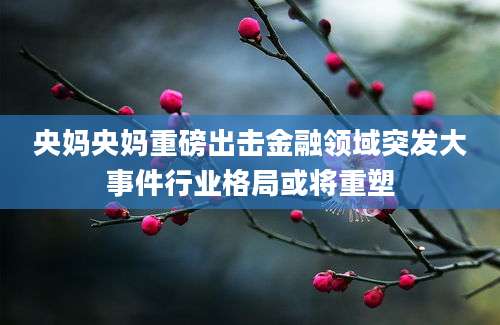 央妈央妈重磅出击金融领域突发大事件行业格局或将重塑