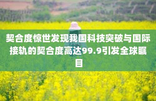 契合度惊世发现我国科技突破与国际接轨的契合度高达99.9引发全球瞩目