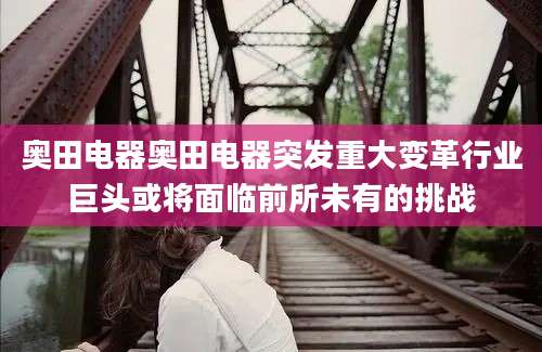 奥田电器奥田电器突发重大变革行业巨头或将面临前所未有的挑战