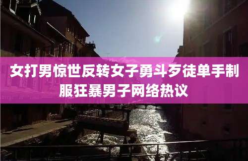 女打男惊世反转女子勇斗歹徒单手制服狂暴男子网络热议