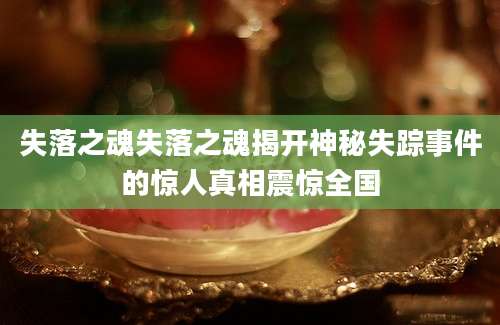 失落之魂失落之魂揭开神秘失踪事件的惊人真相震惊全国
