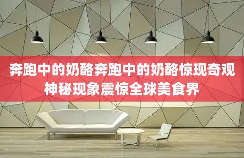 奔跑中的奶酪奔跑中的奶酪惊现奇观神秘现象震惊全球美食界