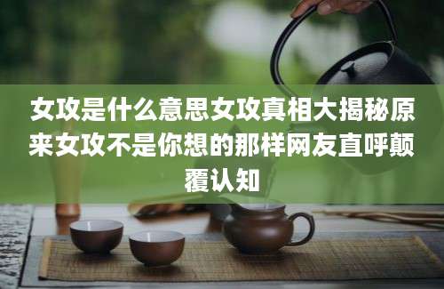 女攻是什么意思女攻真相大揭秘原来女攻不是你想的那样网友直呼颠覆认知