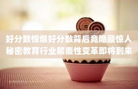 好分数惊爆好分数背后竟隐藏惊人秘密教育行业颠覆性变革即将到来