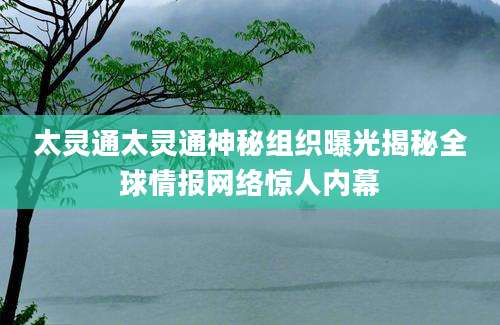 太灵通太灵通神秘组织曝光揭秘全球情报网络惊人内幕