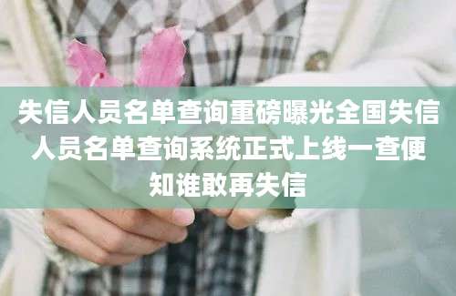 失信人员名单查询重磅曝光全国失信人员名单查询系统正式上线一查便知谁敢再失信