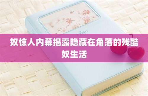 奴惊人内幕揭露隐藏在角落的残酷奴生活