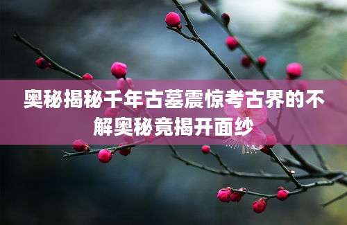 奥秘揭秘千年古墓震惊考古界的不解奥秘竟揭开面纱