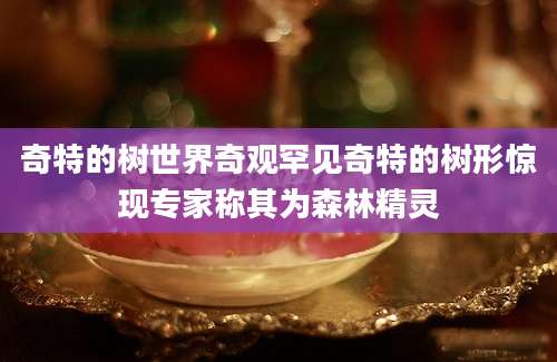 奇特的树世界奇观罕见奇特的树形惊现专家称其为森林精灵