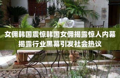 女佣韩国震惊韩国女佣揭露惊人内幕揭露行业黑幕引发社会热议