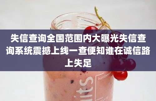 失信查询全国范围内大曝光失信查询系统震撼上线一查便知谁在诚信路上失足