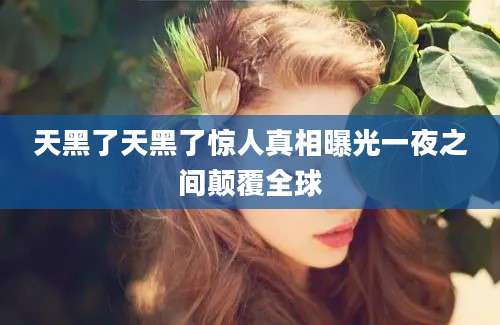 天黑了天黑了惊人真相曝光一夜之间颠覆全球