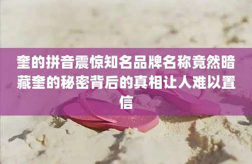 奎的拼音震惊知名品牌名称竟然暗藏奎的秘密背后的真相让人难以置信