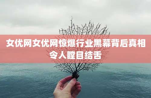 女优网女优网惊爆行业黑幕背后真相令人瞠目结舌