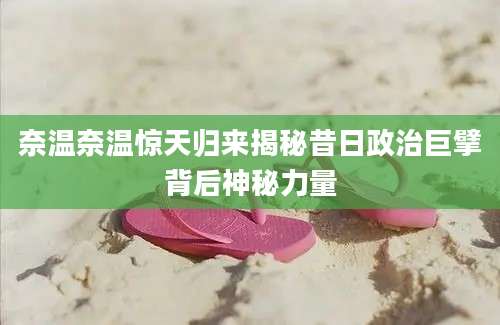 奈温奈温惊天归来揭秘昔日政治巨擘背后神秘力量